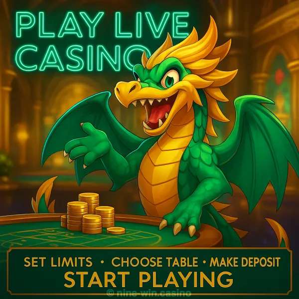 How to Play Ninewin Live Casino